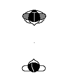 Avant-deux : Position de départ