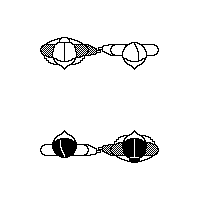 Avant-deux d'Erquy - Position de Départ